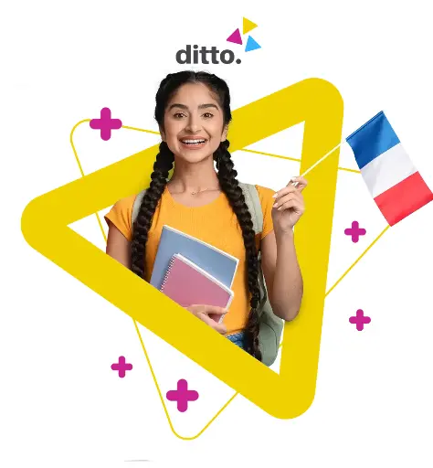  French course for adults Ditto Pro - 80 lessons